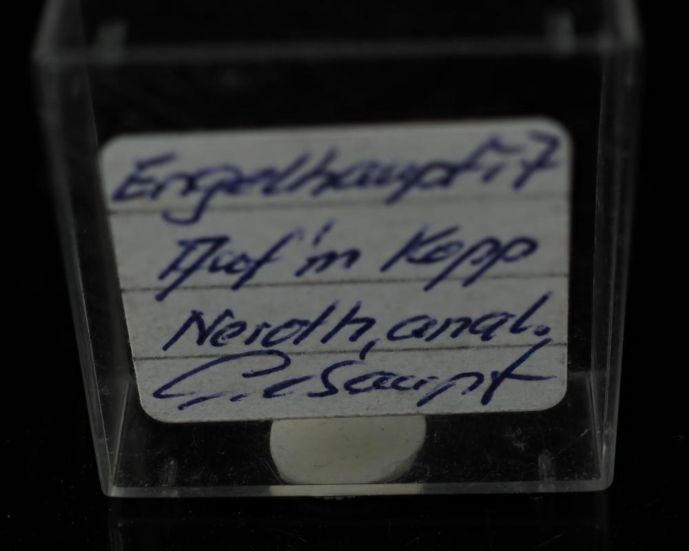 Engelhauptite